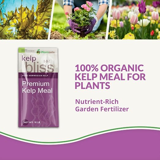 Kelp Bliss (10lbs)