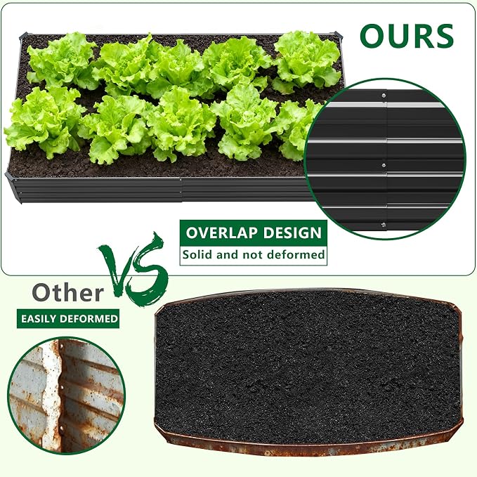 Black(2 Pack)