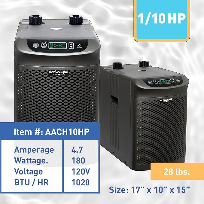 0.10 Hp