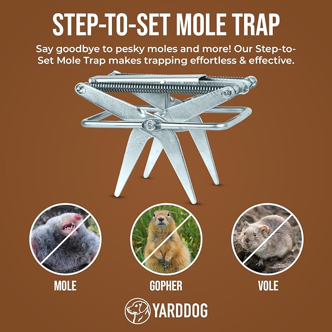 Silver 2 Pack