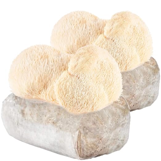 Lions Mane