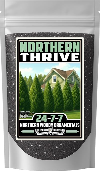 Northern Thrive