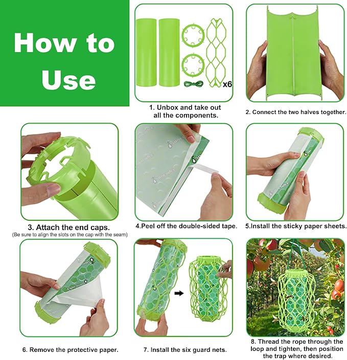 Green-4 Pack