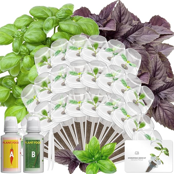 Basil