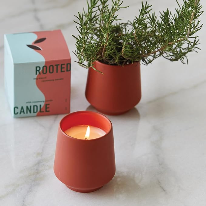 3-Pack Lavender, Rosemary & Thyme