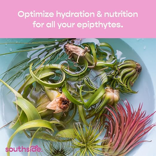 Concentrated Air Plant (1 Oz)