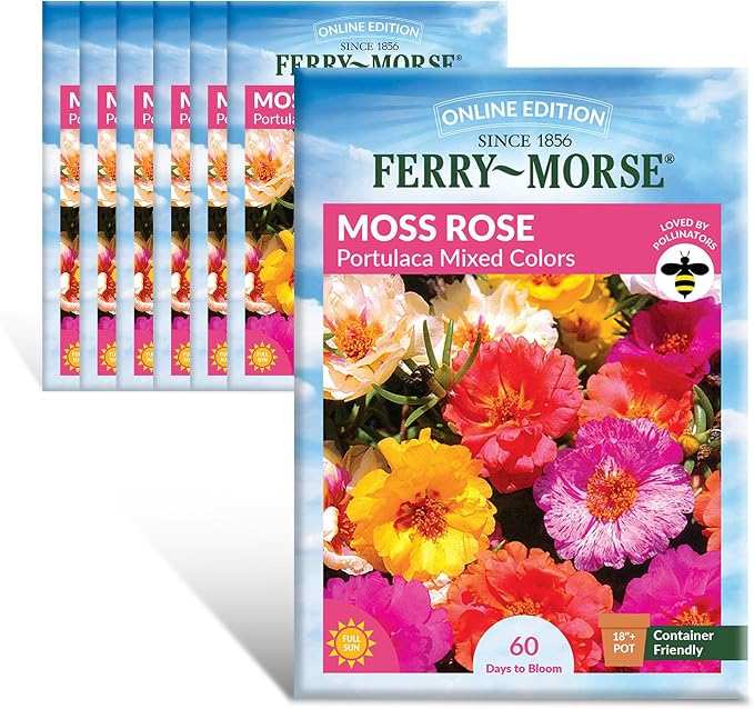 Portulaca Moss Rose Double Mixed Colors Seed Multipack - 7 Pack