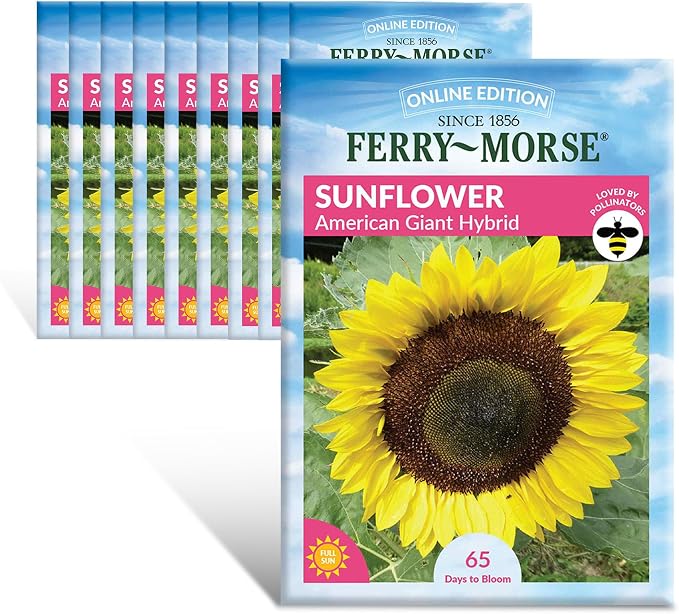 Sunflower American Giant Hybrid Seed Bundle - 10 Pack