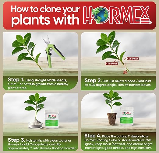 A) #1 For Easy to Root Plants - 1 Lb
