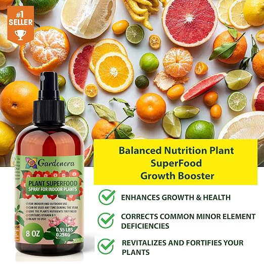 MANGO Plants Superfood