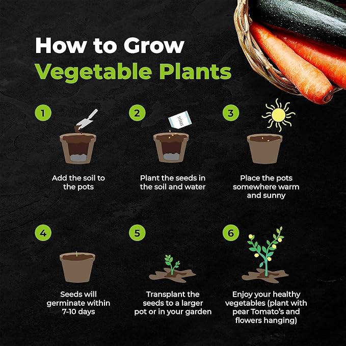 10 Veg Kit