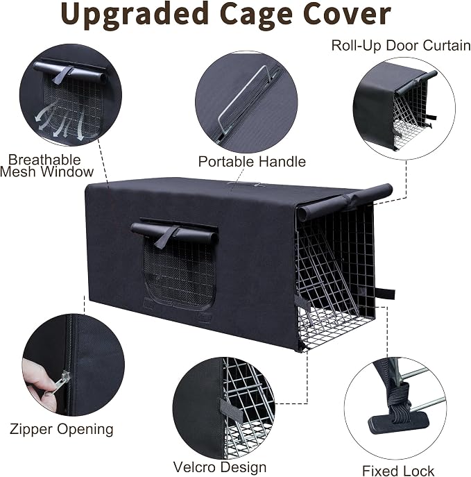COVER ONLY 4