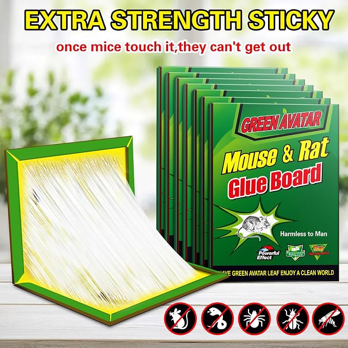 green-24pack
