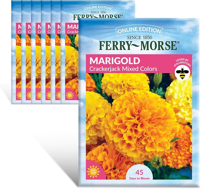 Marigold Crackerjack Mixed Colors Seed Multipack - 7 Pack