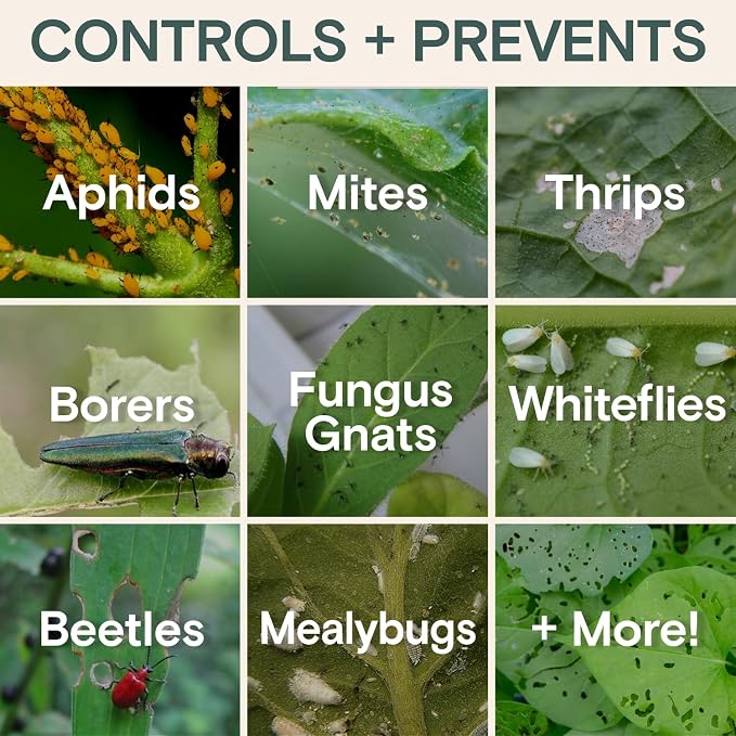 Organic Insecticide