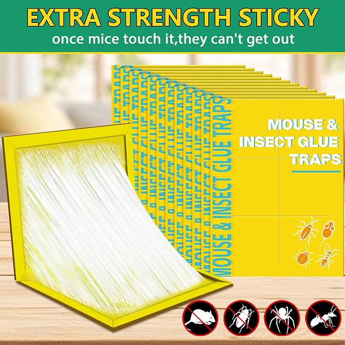 Yellow-24pack