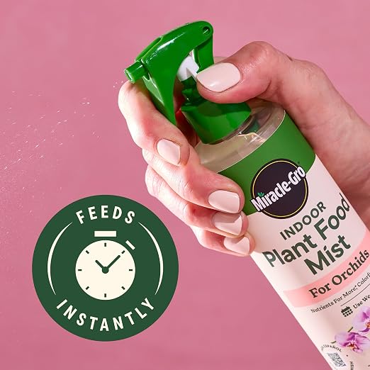 Orchid Mist