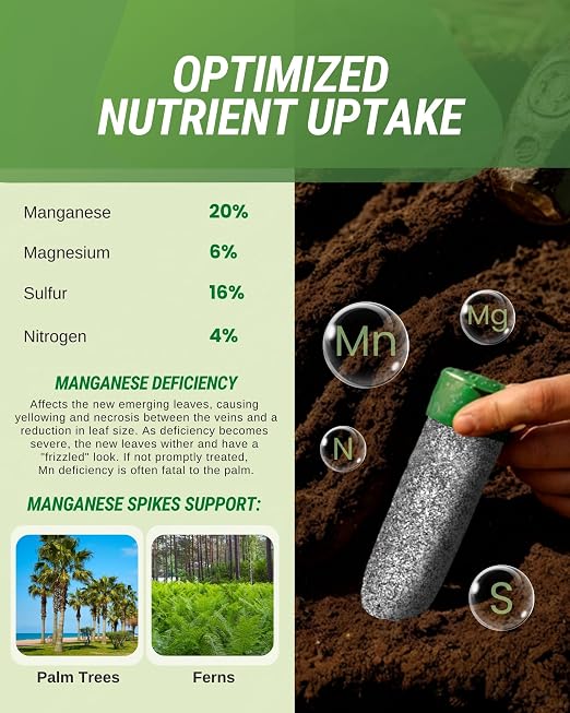 Manganese Spikes