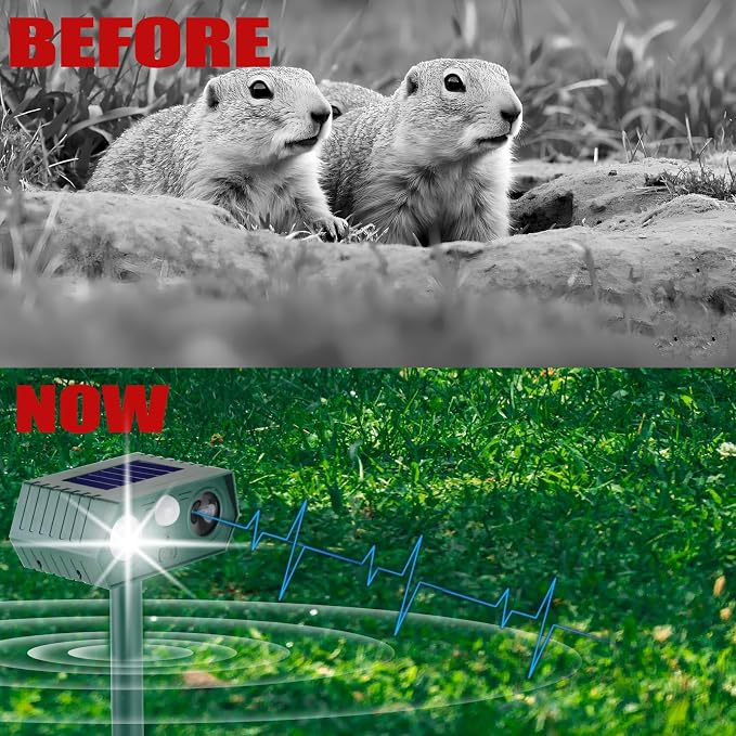 __DEFAULT__