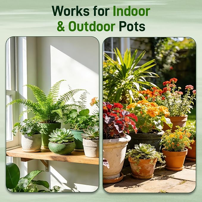 Potting Soil