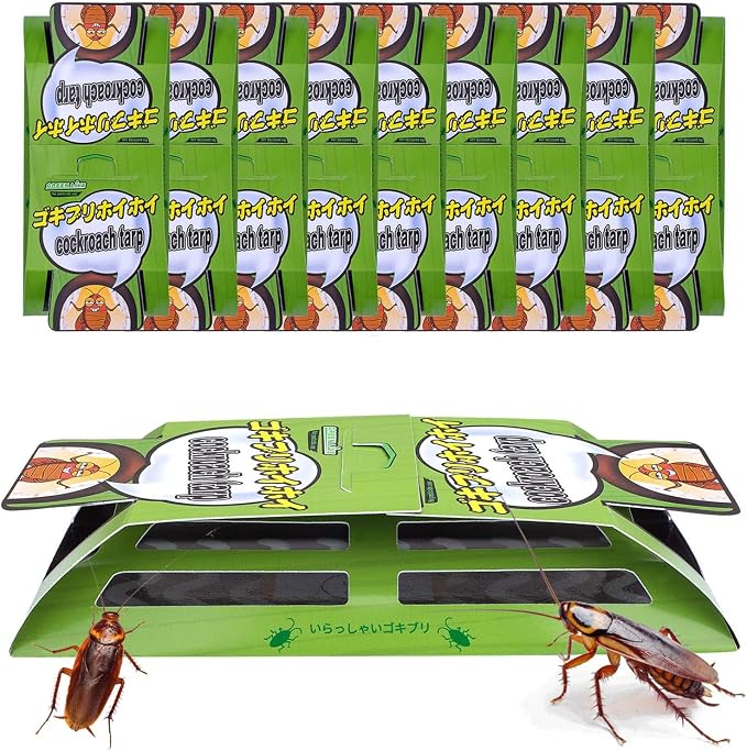 roachtrap-15 pack