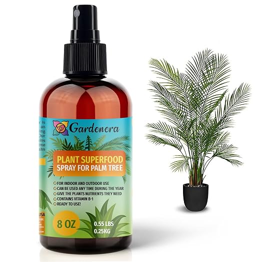 PALM TREE Plants Superfood