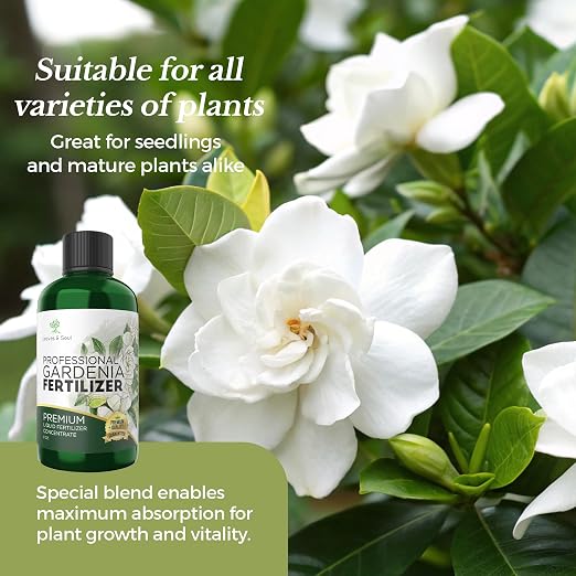 Gardenia