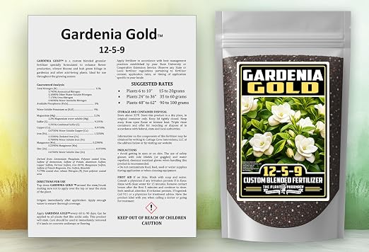 Gardenia Gold