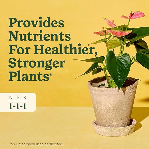 All Plants