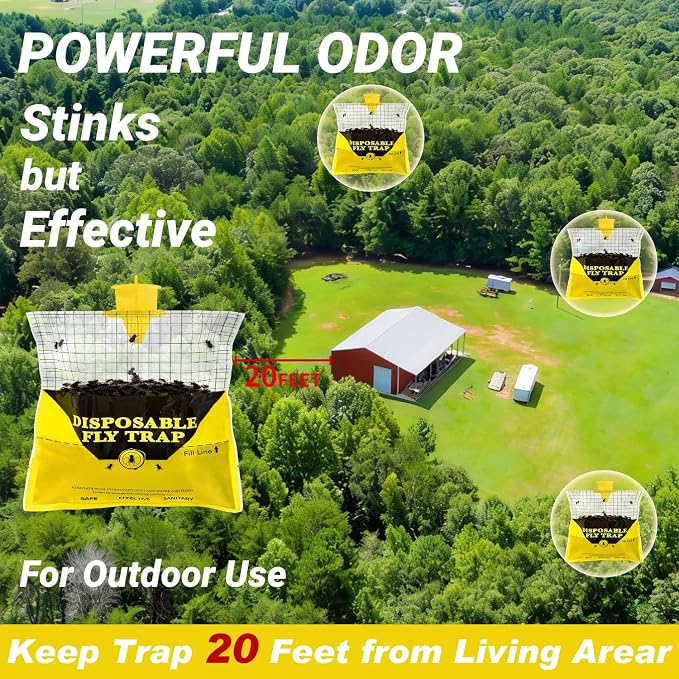 __DEFAULT__