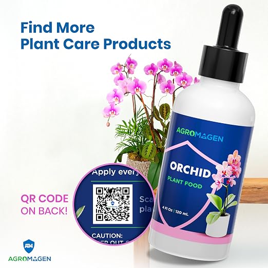 Orchid