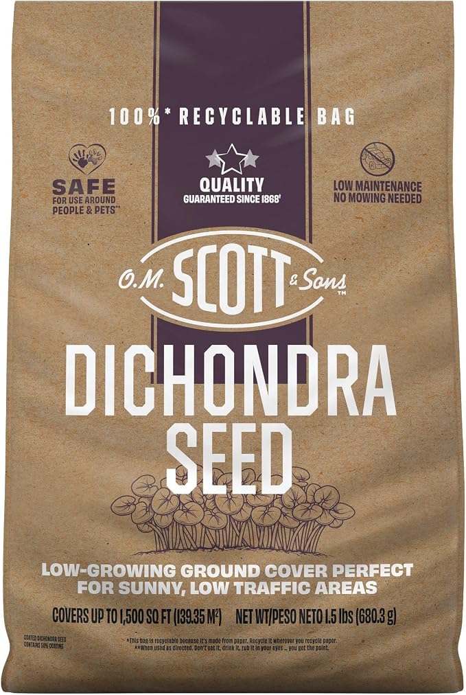 Dichondra