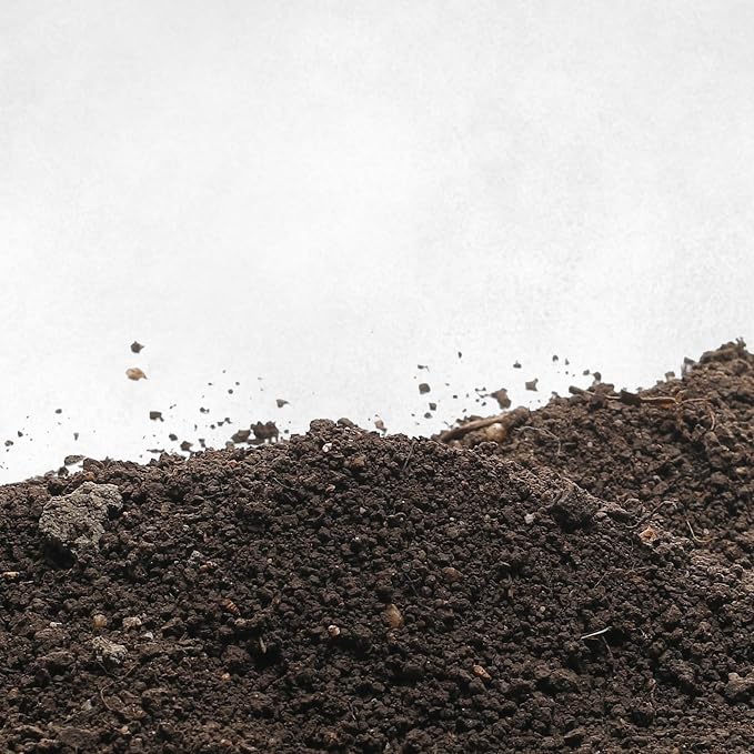 __DEFAULT__