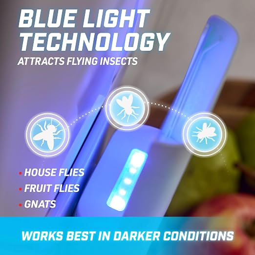 Indoor Light Trap