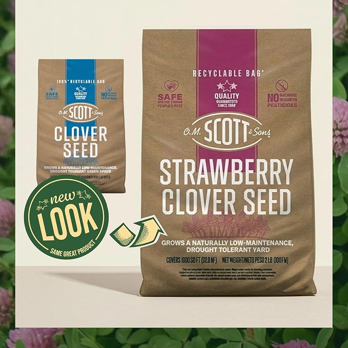 Stawberry Clover