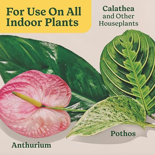 All Plants