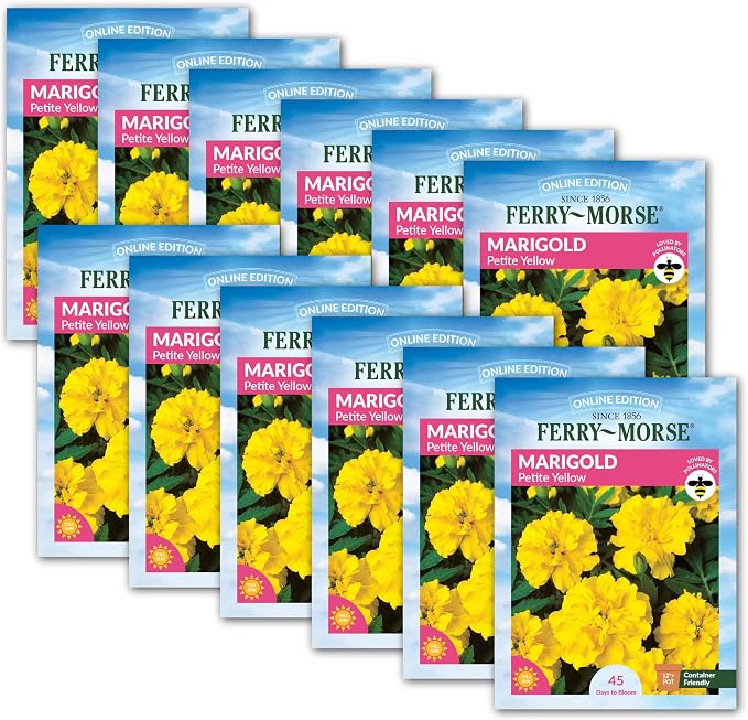 Marigold Petite Yellow Seed Multipack- 12 Pack