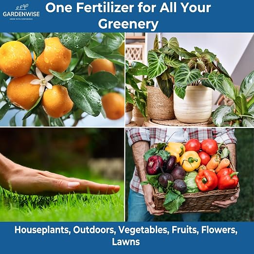 20-20-20 Water-Soluble Fertilizer
