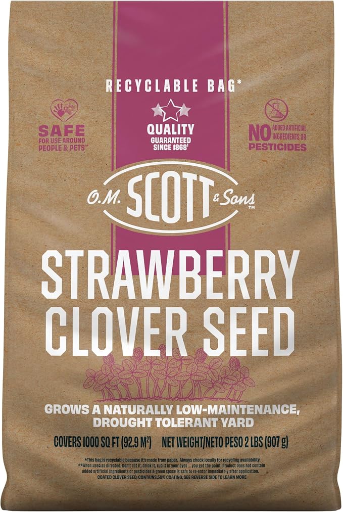 Stawberry Clover