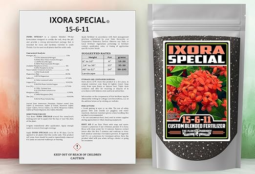 Ixora Special