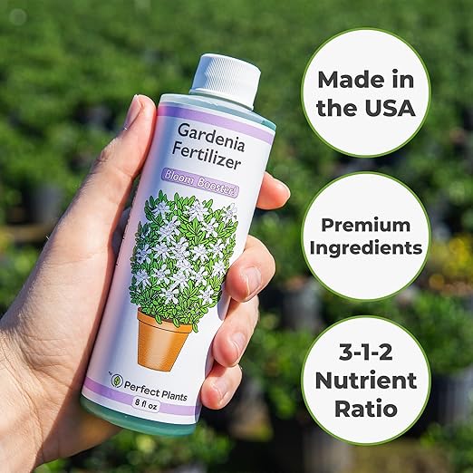 Gardenia Fertilizer