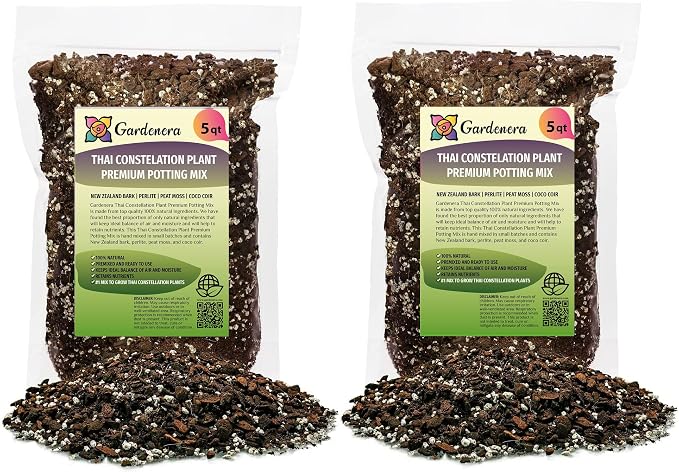 Thai Consteallation Monstera Soil Blend