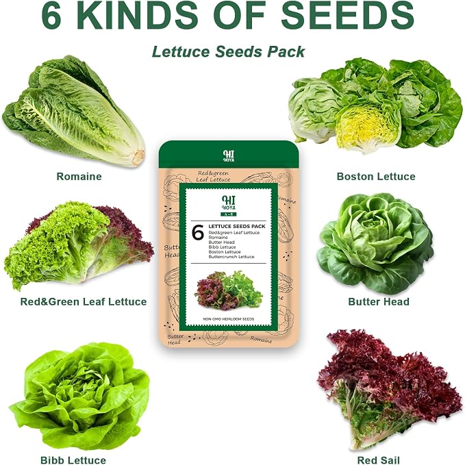Lettuce