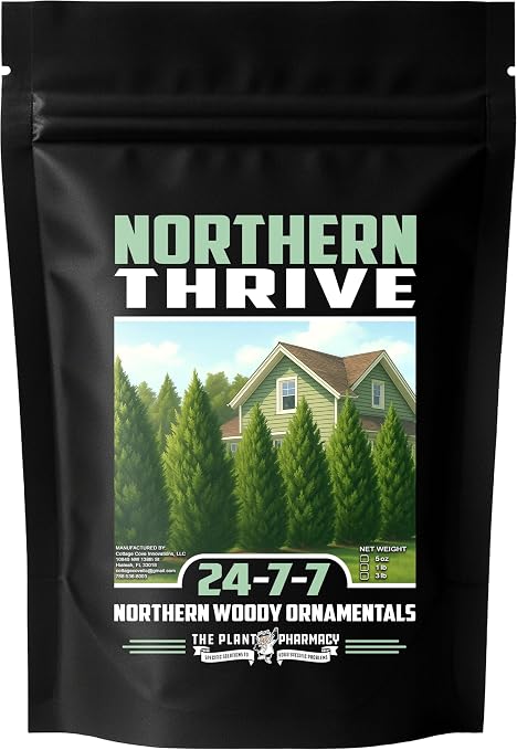 Northern Thrive