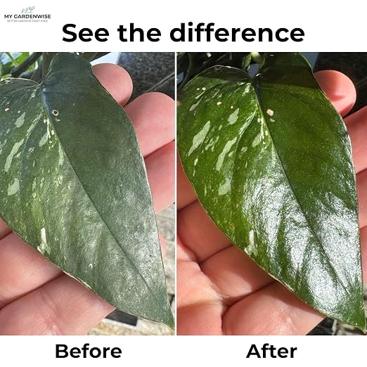 Leaf Shine