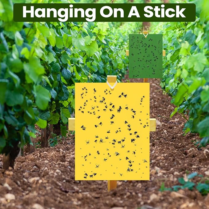 Yellow,Blue,Green