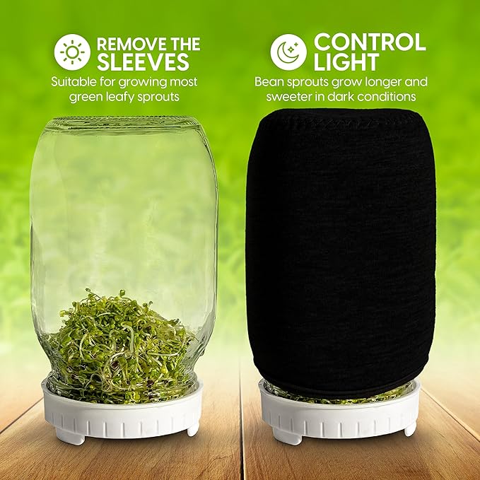 Sprouts Growing Kit & Green Onion Regrower