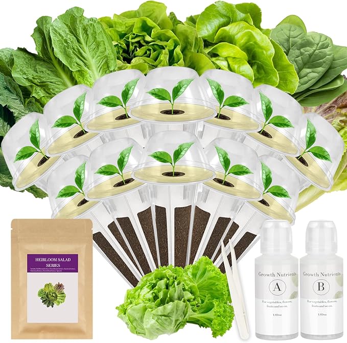 Salad