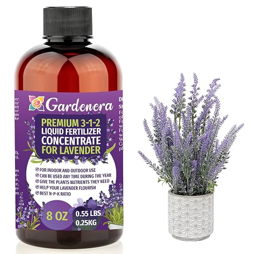 LAVENDER