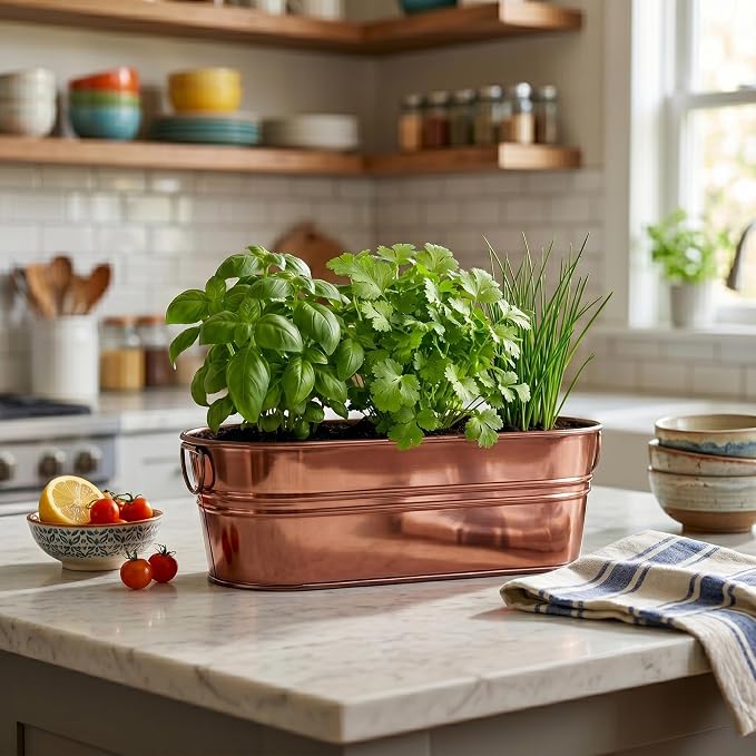 Culinary Garden